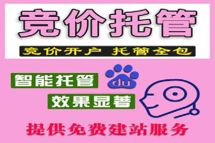 sem托管服务案例：如何实现低成本高回报的广告投放